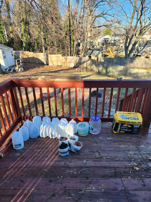 Starbucks milk jugs