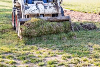 Since 2019, the turf buyback program has helped homeowners pull up over four million square feet of lawn.