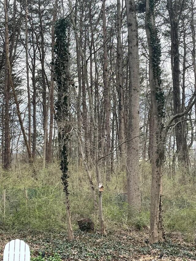 Homeowner receives onslaught of warnings after sharing concern for