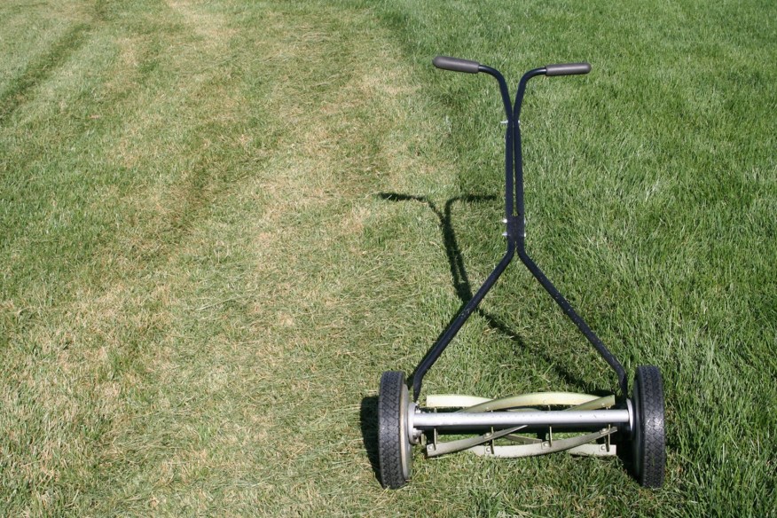 Reel mowers vs. gas mowers — why one option is better for your