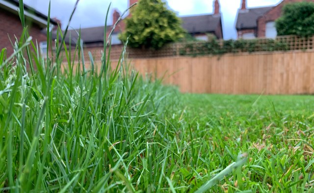 "That's what I aspire to!"