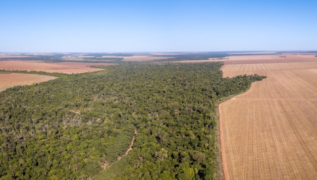 There should be more transparency to help hold companies accountable.