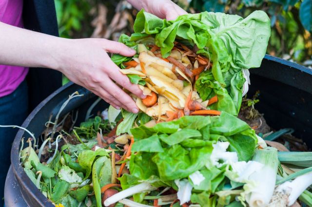 Around a third of household waste is generated by food scraps or garden clearing.