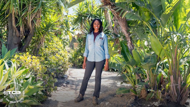 "Television can really change people's lives."