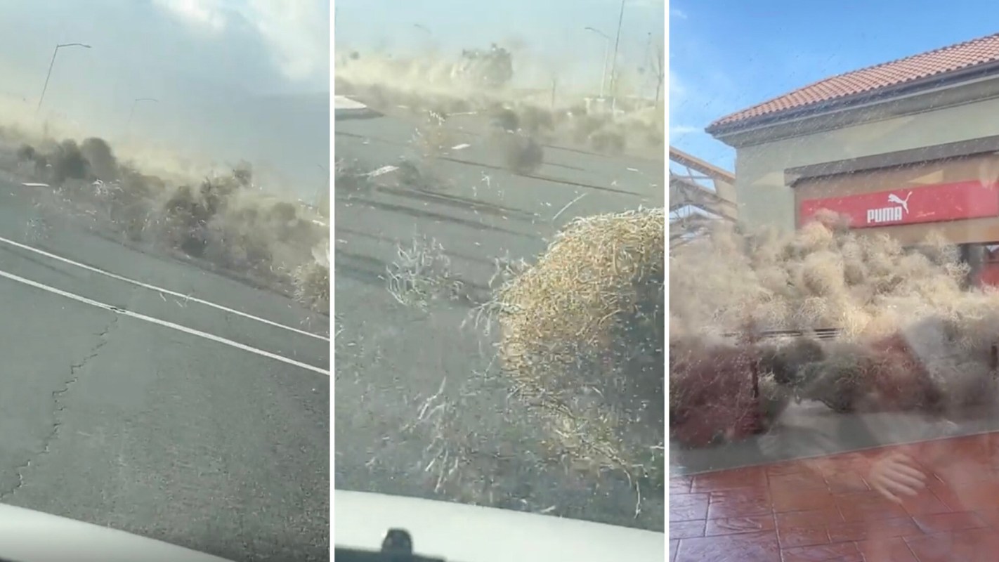 Californians were recently treated to a real-life alternate version of the iconic image of a single tumbleweed rolling across an empty landscape.