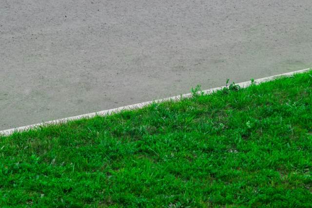 "Wow, that's a great looking hellstrip."