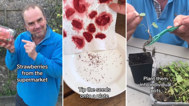 "Definitely going to give this a go."