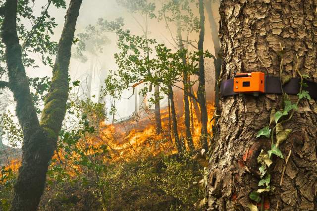 "We made it fire retardant as much as possible, so they will continue sending data until their last breath."