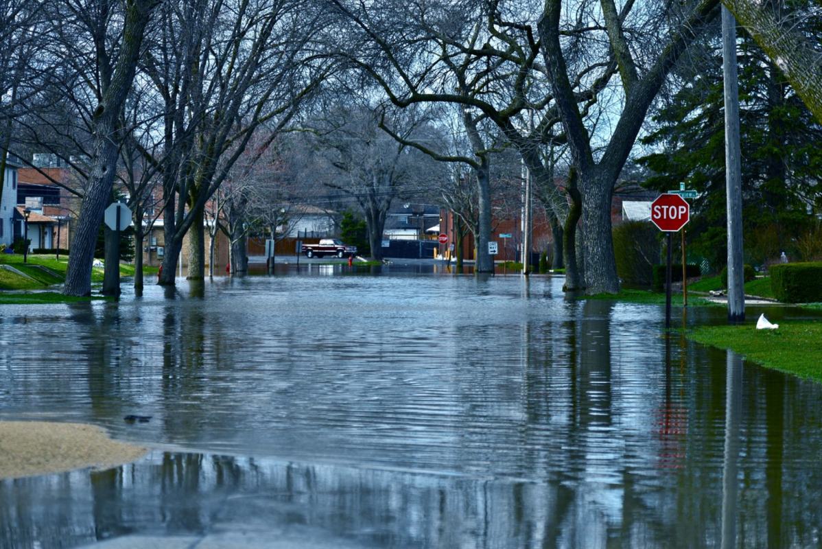 "In many coastal cities, we see that the draw, or 'pull,' of the amenities and economic opportunity in the region is stronger than the 'push' from flood risks."