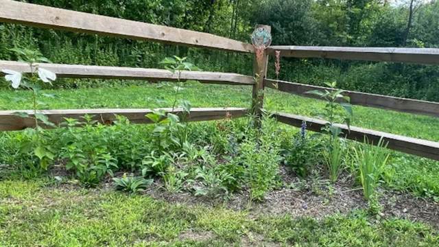 "All landscapers should learn from you!"