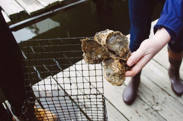 "Anybody that participates in these programs, they get a much better understanding of what’s wrong with the bay and what needs to be done to help it."