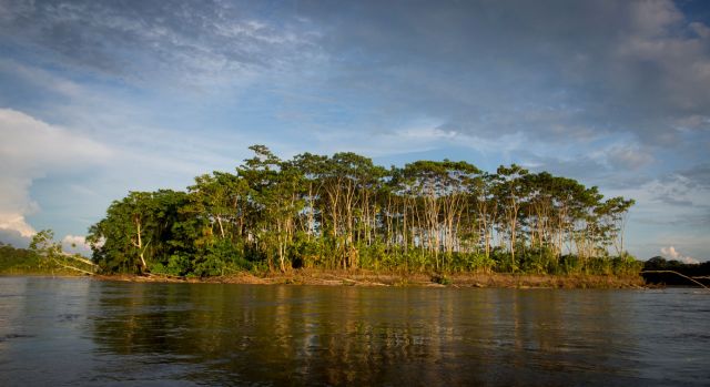 "I've been reading nature since I was a child, but I am no longer able to decipher it."