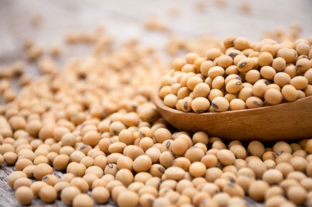 "Millions of tons of soy proteins feeding humans instead of animals, without compromising real taste and nutrition."