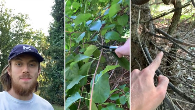 Nature is amazing, scary, and beautiful all at once.