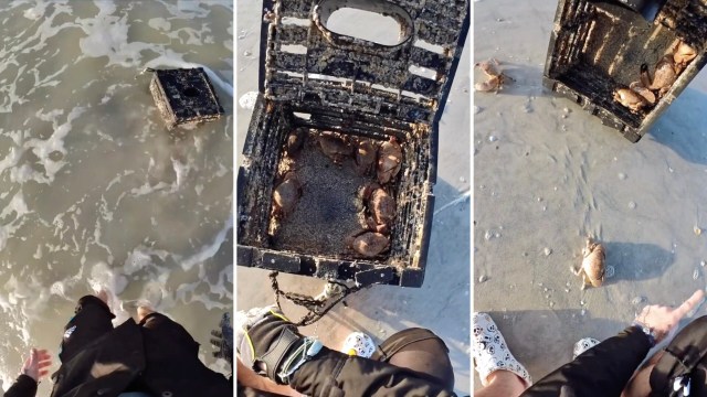 While the video is silly in nature, it has a serious undertone.