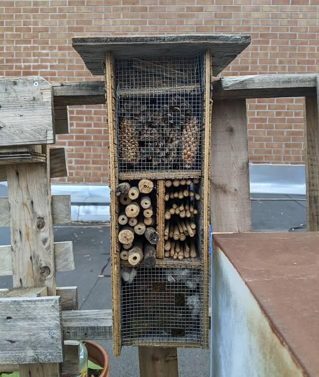For those interested in bringing some nature into their yards, a well-made bug hotel can be an excellent addition to the local ecosystem.