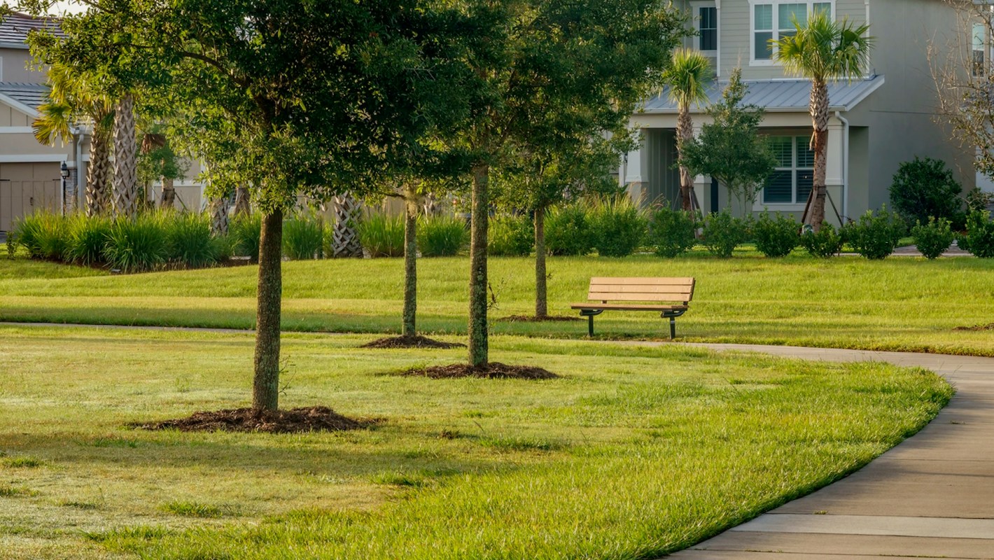 "One way of preventing the harmful health effects ... may be to make neighborhoods more green."