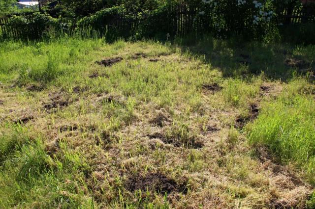 "It's been a fun process."