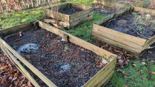 "It all needs to come out."