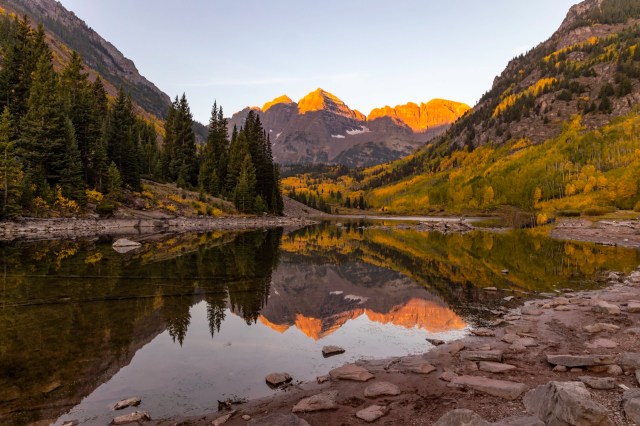 Measures are put in place to protect natural wild and plant life for a reason.