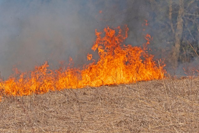 Scientists are warning that the unusual patterns are related to global heating.