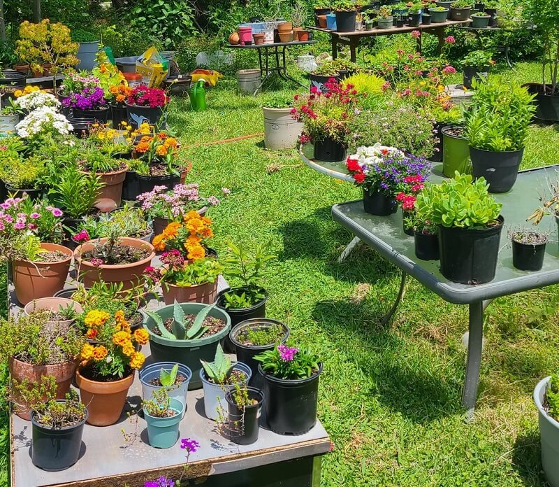 As this crafty gardener demonstrates, creating a blooming oasis doesn't require buying anything new.