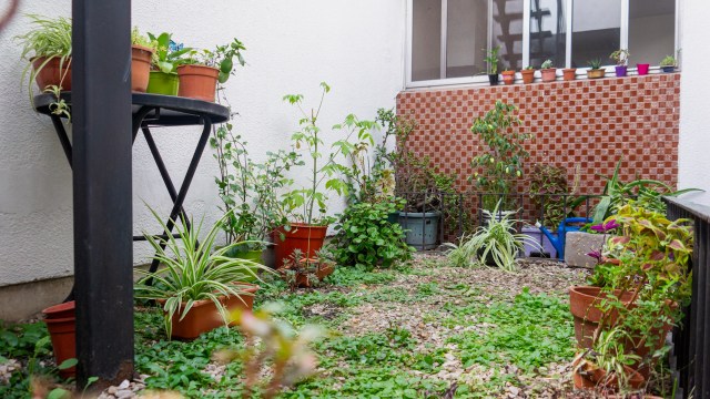 As this crafty gardener demonstrates, creating a blooming oasis doesn't require buying anything new.