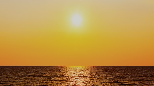 "This event is likely to be the most spatially extensive global bleaching event on record."