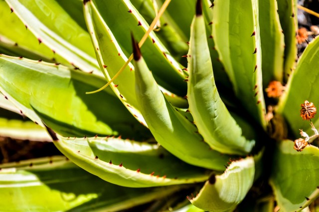 "It's a labor of love."