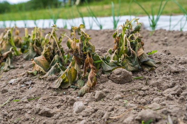 "Give yourself some grace and keep trying."