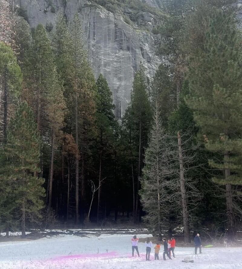 "People don't travel from around the world to Yosemite to see your bs and trash."