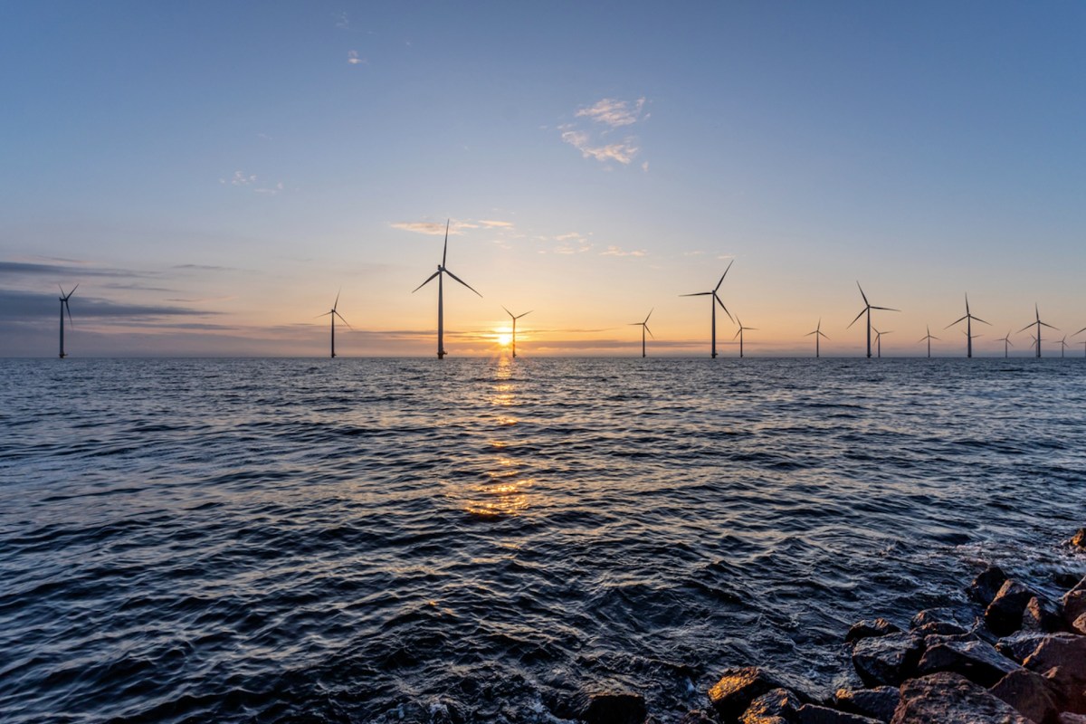 "We believe that in time offshore wind farms will have multiple uses, with seaweed being one of them."