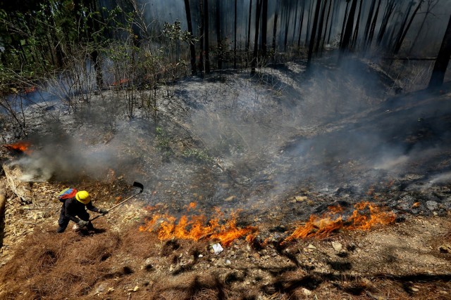 One fire researcher claims affected countries aren't doing enough to prevent and combat fires.