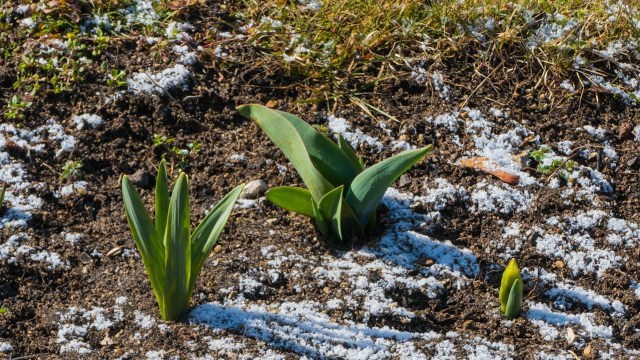 Struggles like this aren't out of the ordinary.