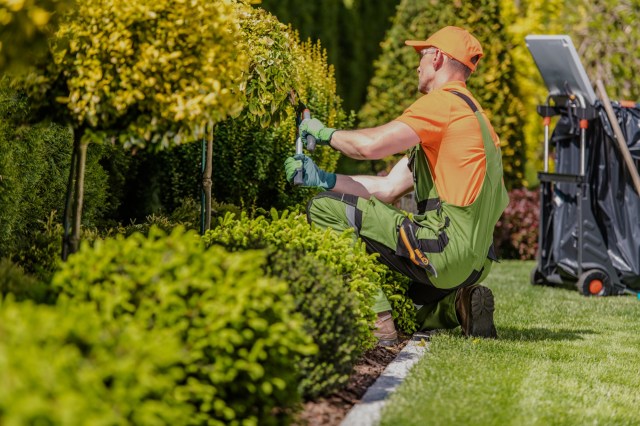 "I have never heard of any requirement to use biocides and am pretty sure there aren't."