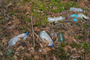 "I don't think there's any other program in existence that reduces litter more than [this]."