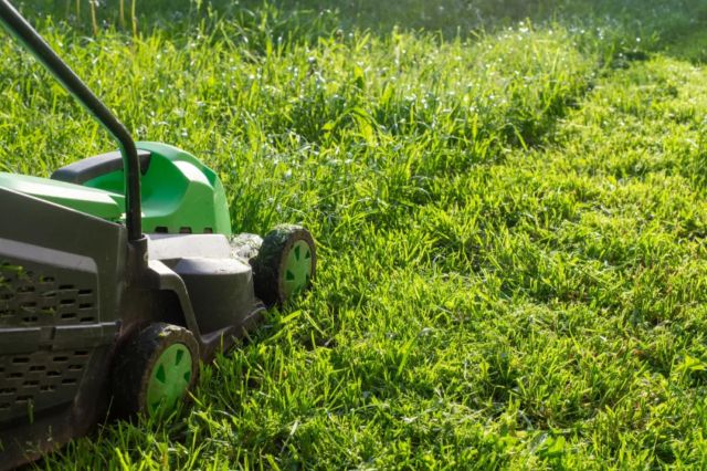 "That's so beautiful."