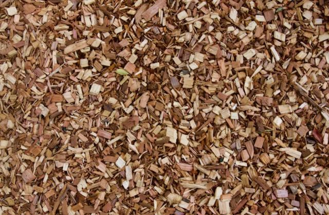 "I've made a huge mistake."