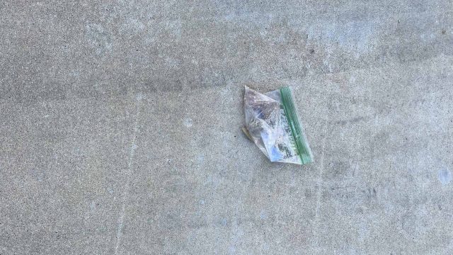 "Return rock to sender."