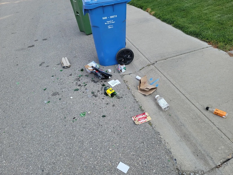 "Looks like they took your bin and left your garbage."