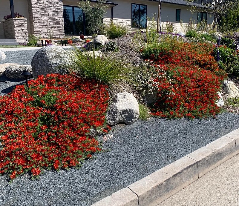 "I want to live in the house across the street so I can look out my windows to see this lovely garden."