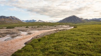The decision safeguards the ecologically rich landscape that caribou and fish populations depend on.