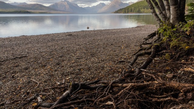 "Not sure what part of 'leave nothing but footprints' they don't understand."