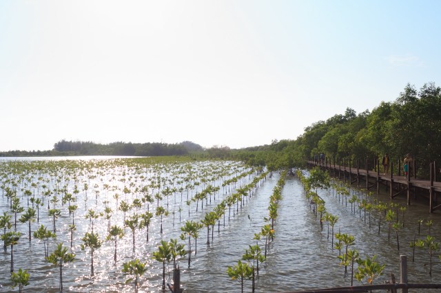 Conservation efforts like this one are critical to the region because of devastating extreme weather events.