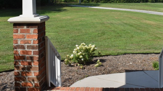 "If my 'lawn' looked this beautiful, I think I'd die of happiness."