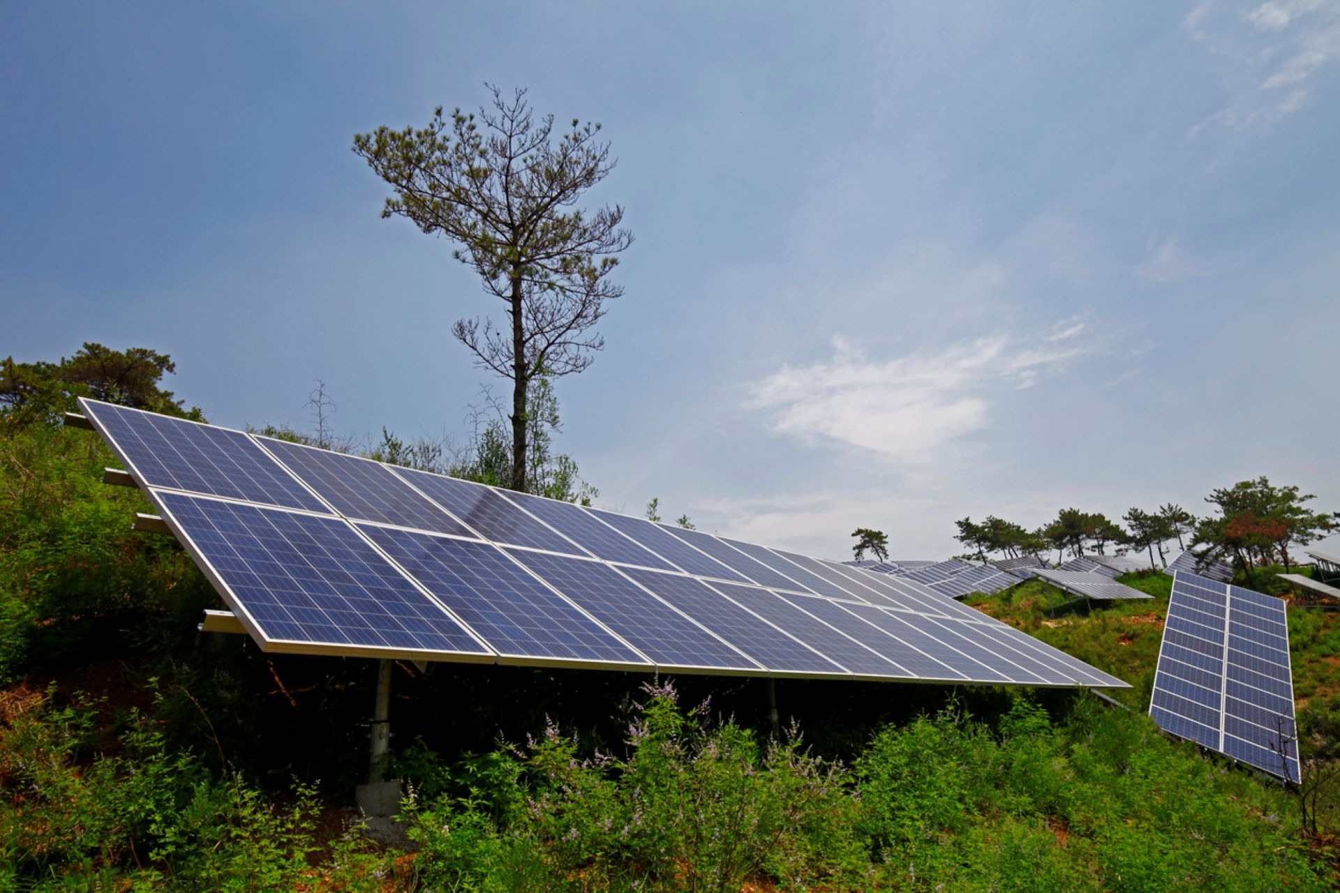 Co-op recognized for increasing solar accessibility for underserved ...