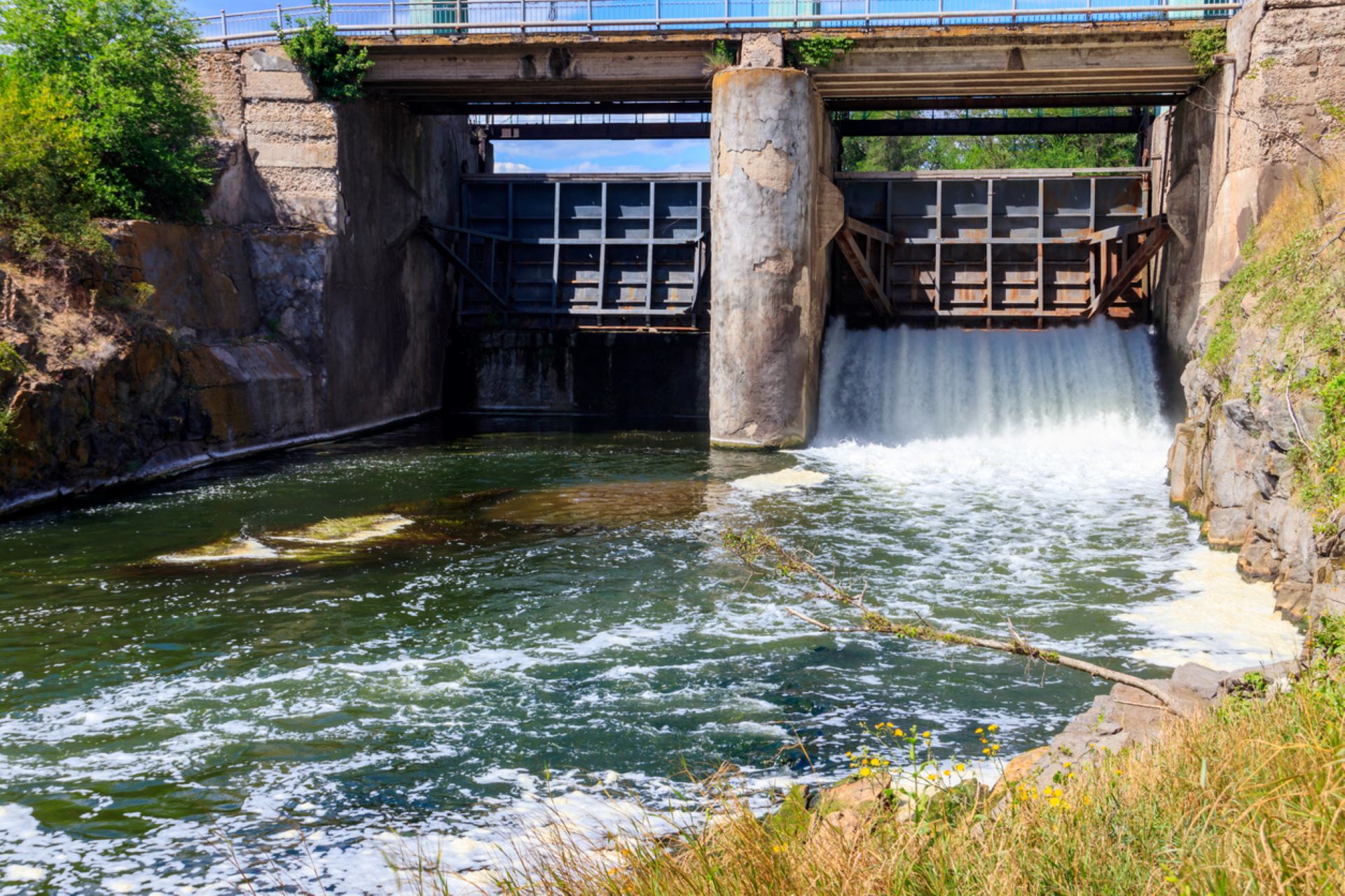 Experts share remarkable effects of removing restrictive dams from river 