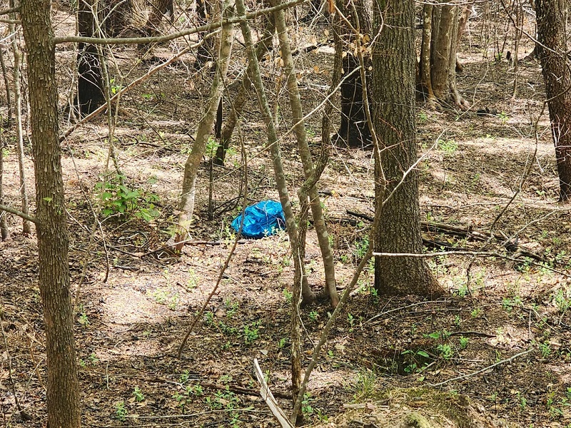 "I find at least one on every hike."