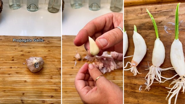 Garlic may not be the most expensive item at the grocery store, but this tip can save you money all the same.