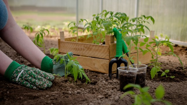 "Do your best and don't give up."